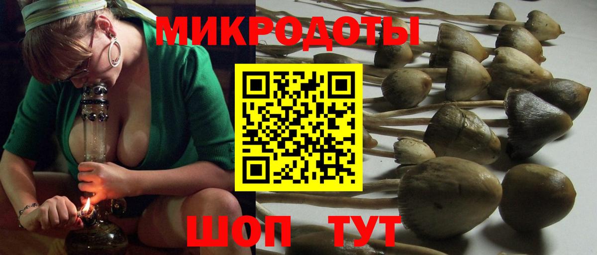 Псилоцибиновые грибы прущие грибы  Вход с VPN  Галлюциногенные грибы мицелий  Новоалександровск 